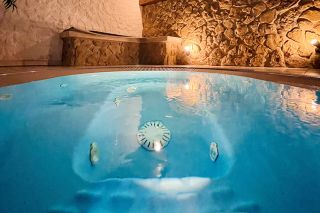 Wellness 